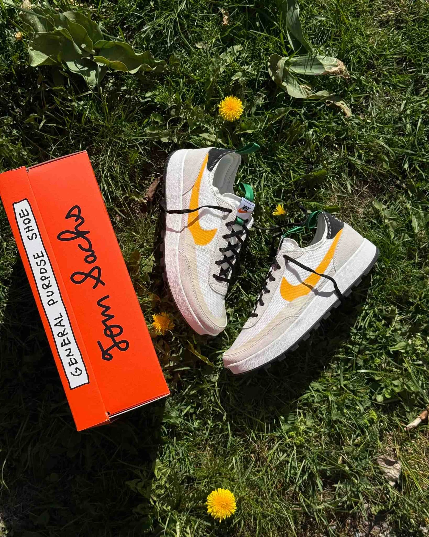 Elevate Your Sneaker Game